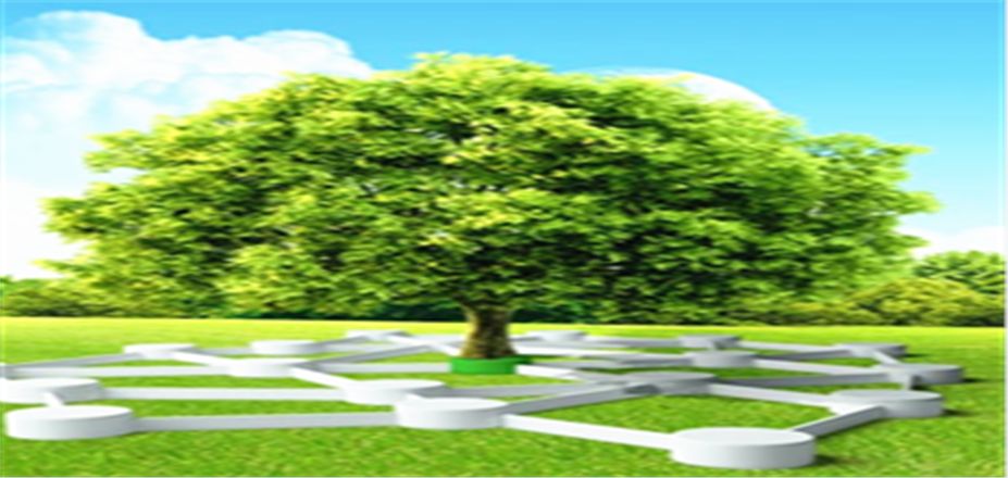 新能源汽車新型催化劑研制成功 延長電池壽命