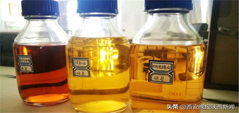 民盟西安市委機(jī)關(guān)、民盟西安市委部分企業(yè)家走進(jìn)—西安恒星新能源開(kāi)發(fā)有限公司