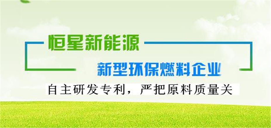 西安恒星新能源開發(fā)有限公司元旦賀詞